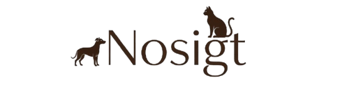 Nosigt